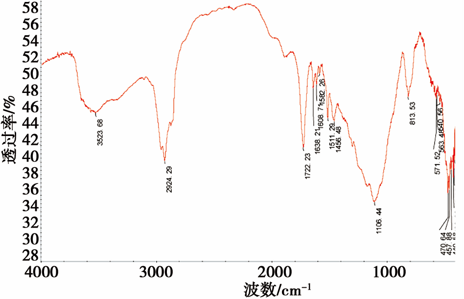 红外光谱测试光固化树脂的固化率2.png